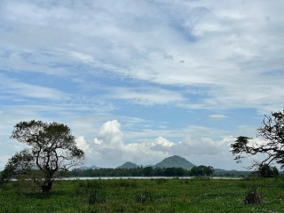 Discover the Rich Biodiversity of Wirawila Tissa Sanctuary