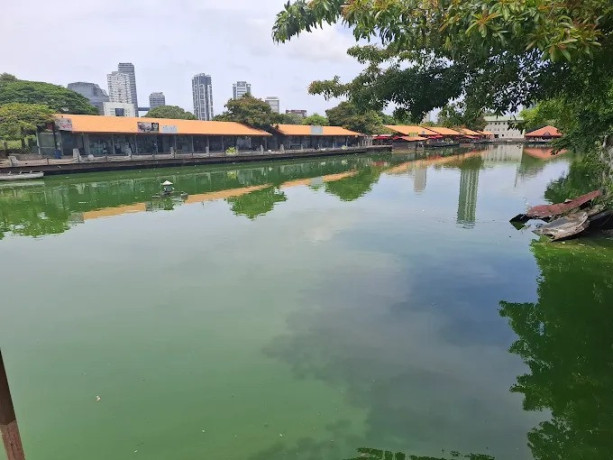 discovering-the-floating-market-in-pettah-a-vibrant-hub-of-culture-and-commerce-big-3