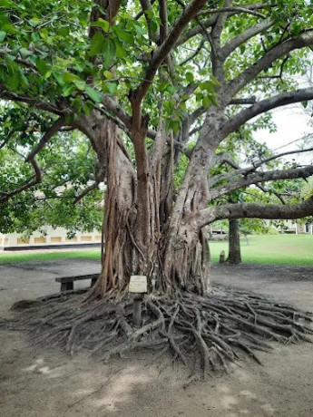 martin-wickramasinghe-folk-museum-a-tribute-to-sri-lankan-culture-and-heritage-big-3