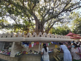 Bellanwila Rajamaha Viharaya: A Sacred Haven of Sri Lankan Buddhism