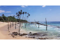 stilt-fishermen-a-timeless-tradition-of-sri-lankan-coastal-life-small-4