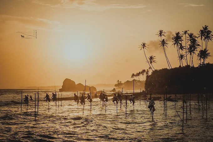 stilt-fishermen-a-timeless-tradition-of-sri-lankan-coastal-life-big-3