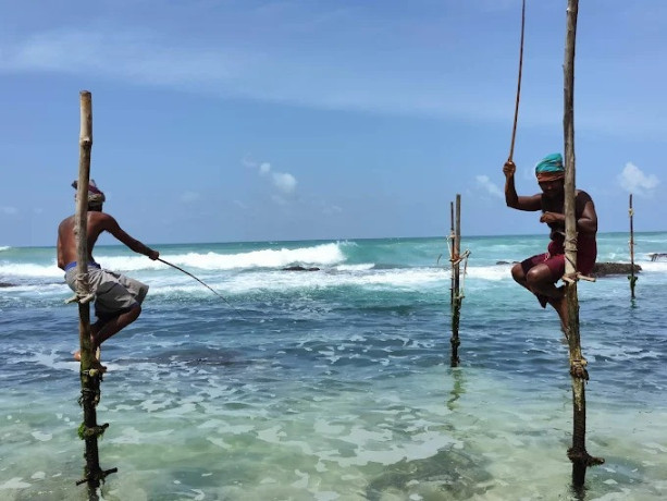 stilt-fishermen-a-timeless-tradition-of-sri-lankan-coastal-life-big-2