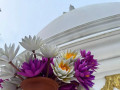 mahamevnawa-buddhist-monastery-galle-a-sanctuary-of-peace-and-spiritual-reflection-small-0