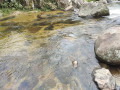 rangala-natural-pool-a-hidden-gem-of-tranquility-and-natural-beauty-small-2