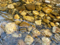 rangala-natural-pool-a-hidden-gem-of-tranquility-and-natural-beauty-small-1