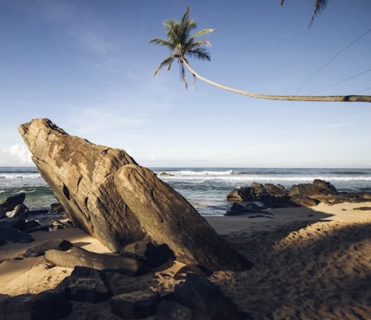 mihiripenna-beach-a-serene-coastal-retreat-in-sri-lanka-big-0