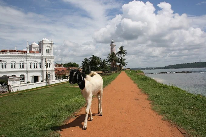 discovering-meeran-jumma-mosque-a-historic-and-cultural-landmark-in-galle-big-3