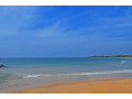 matara-beach-your-ultimate-guide-to-sri-lankas-coastal-paradise-small-4