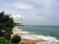 lakshawaththa-beach-a-tranquil-escape-on-sri-lankas-southern-coast-small-3