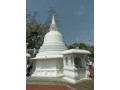 matara-bodhiya-a-spiritual-and-cultural-landmark-in-sri-lanka-small-3