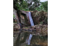 explore-bambaragala-estate-waterfall-a-hidden-gem-in-sri-lankas-scenic-highlands-small-1