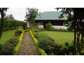 stay-at-kelburne-estate-room-a-cozy-retreat-in-haputales-tea-country-small-4