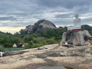 Explore Kudumbigala Sanctuary: A Hidden Haven of Wildlife and Ancient Monastic Caves