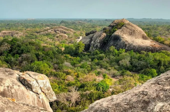 explore-kudumbigala-sanctuary-a-hidden-haven-of-wildlife-and-ancient-monastic-caves-big-1