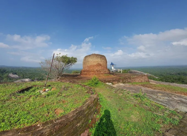 explore-kudumbigala-sanctuary-a-hidden-haven-of-wildlife-and-ancient-monastic-caves-big-3