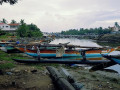 exploring-the-serenity-and-biodiversity-of-negombo-lagoon-small-2