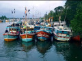 exploring-the-serenity-and-biodiversity-of-negombo-lagoon-small-4