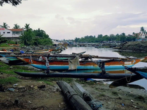 exploring-the-serenity-and-biodiversity-of-negombo-lagoon-big-2