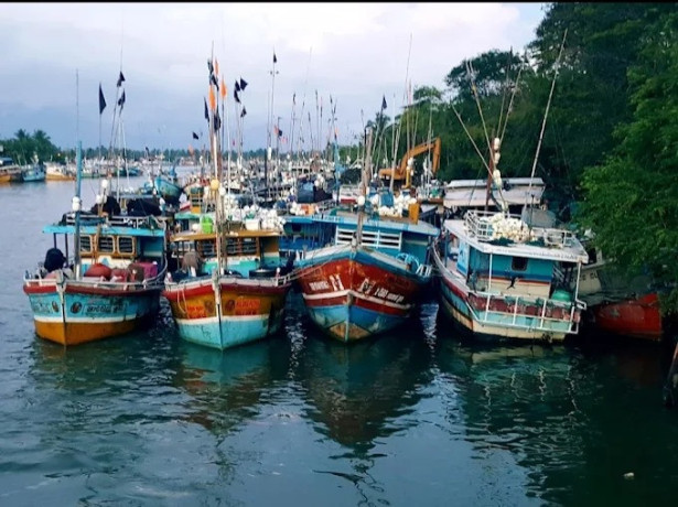 exploring-the-serenity-and-biodiversity-of-negombo-lagoon-big-4