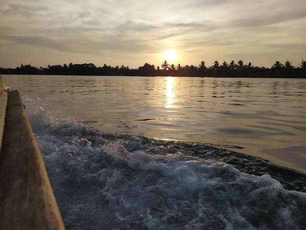 exploring-the-serenity-and-biodiversity-of-negombo-lagoon-big-1