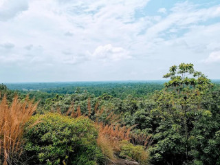 Pilikuttuwa Raja Maha Viharaya, Yakkala: A Revered Buddhist Temple with Rich Historical and Cultural Significance