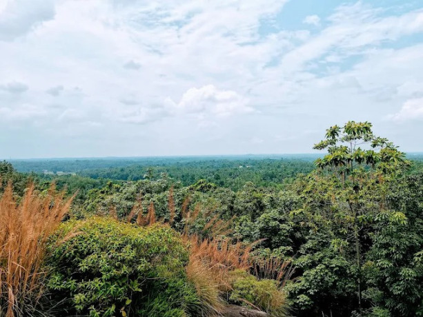 pilikuttuwa-raja-maha-viharaya-yakkala-a-revered-buddhist-temple-with-rich-historical-and-cultural-significance-big-0