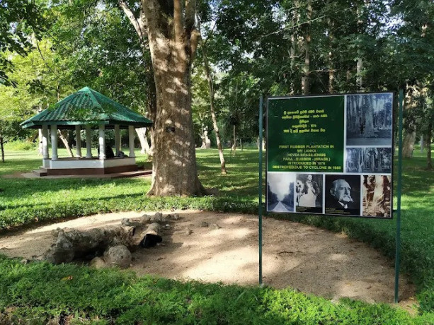 gampaha-botanical-garden-a-lush-oasis-of-tropical-flora-and-tranquility-big-2