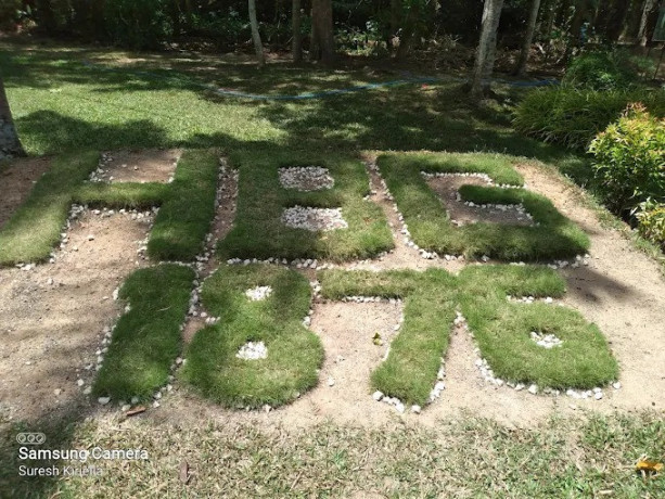 gampaha-botanical-garden-a-lush-oasis-of-tropical-flora-and-tranquility-big-1