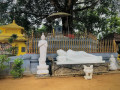 attanagalla-ancient-royal-temple-a-sacred-site-of-historical-and-spiritual-significance-small-4