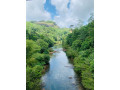 nakkawita-suspension-bridge-sri-lankas-tallest-suspension-bridge-offering-a-thrilling-experience-small-3