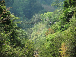 Nakkawita Suspension Bridge: Sri Lanka's Tallest Suspension Bridge Offering a Thrilling Experience