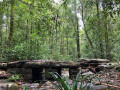 makandawa-reserved-forest-a-sanctuary-of-biodiversity-and-tranquility-small-0