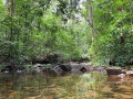 makandawa-reserved-forest-a-sanctuary-of-biodiversity-and-tranquility-small-1