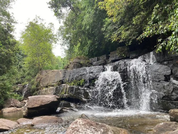 makandawa-reserved-forest-a-sanctuary-of-biodiversity-and-tranquility-big-2