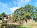 isurumuniya-temple-a-journey-through-ancient-sri-lankan-heritage-small-2