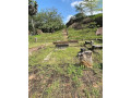 vessagiriya-the-ancient-monastic-complex-of-anuradhapura-small-1