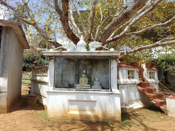 avukana-buddha-statue-the-majestic-ancient-sculpture-of-sri-lanka-big-1