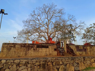 Tantirimale Rajamaha Viharaya (තන්තිරිමලේ රජමහා විහාරය): A Majestic Monastic Complex of Ancient Sri Lanka