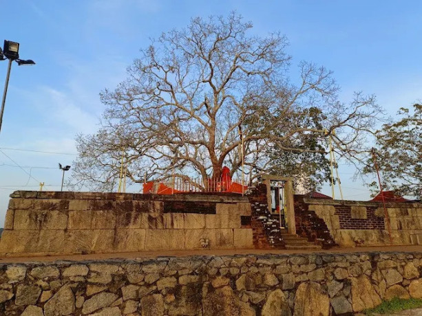 tantirimale-rajamaha-viharaya-a-majestic-monastic-complex-of-ancient-sri-lanka-big-0