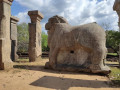 unveiling-the-nissanka-lata-mandapa-an-architectural-masterpiece-of-polonnaruwa-small-1