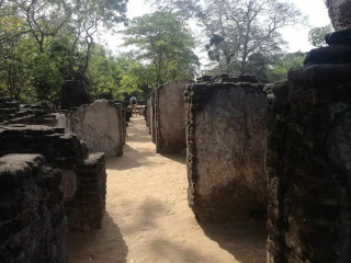 Exploring the Palace of King Parakramabahu: A Glimpse into the Majesty of Polonnaruwa’s Royal Heritage