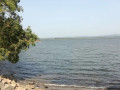 discovering-parakrama-samudra-the-majestic-ancient-reservoir-of-polonnaruwa-small-2