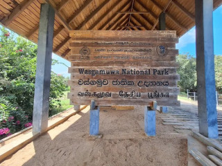 Exploring Wasgamuwa National Park: A Sanctuary of Biodiversity and Natural Beauty in Sri Lanka