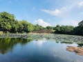 exploring-medirigiriya-vatadageya-the-ancient-circular-shrine-of-polonnaruwa-small-0