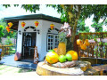 enjoy-in-rp-rohamton-bungalow-and-coffee-bar-small-0