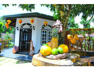 Enjoy in RP Rohamton Bungalow and Coffee Bar