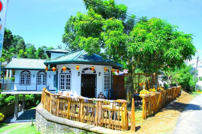 enjoy-in-rp-rohamton-bungalow-and-coffee-bar-big-2