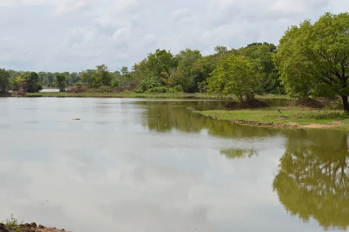 kadawalawewa-tank-a-historical-reservoir-of-serenity-big-1