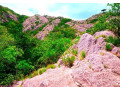 jathika-namal-uyana-a-unique-biodiversity-sanctuary-small-2